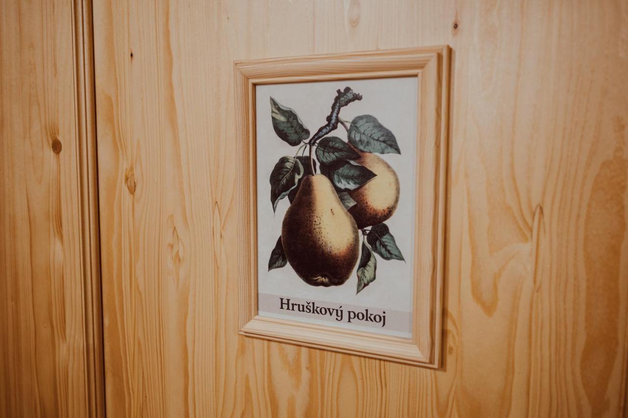 Penzion Brusinka Kocourov  Bagian luar foto